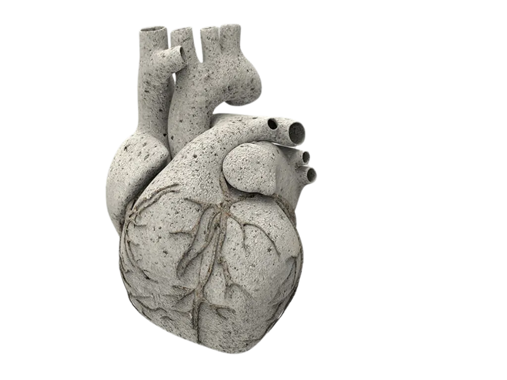 Coronary Calcification on a Lung Health Check: What should be done?