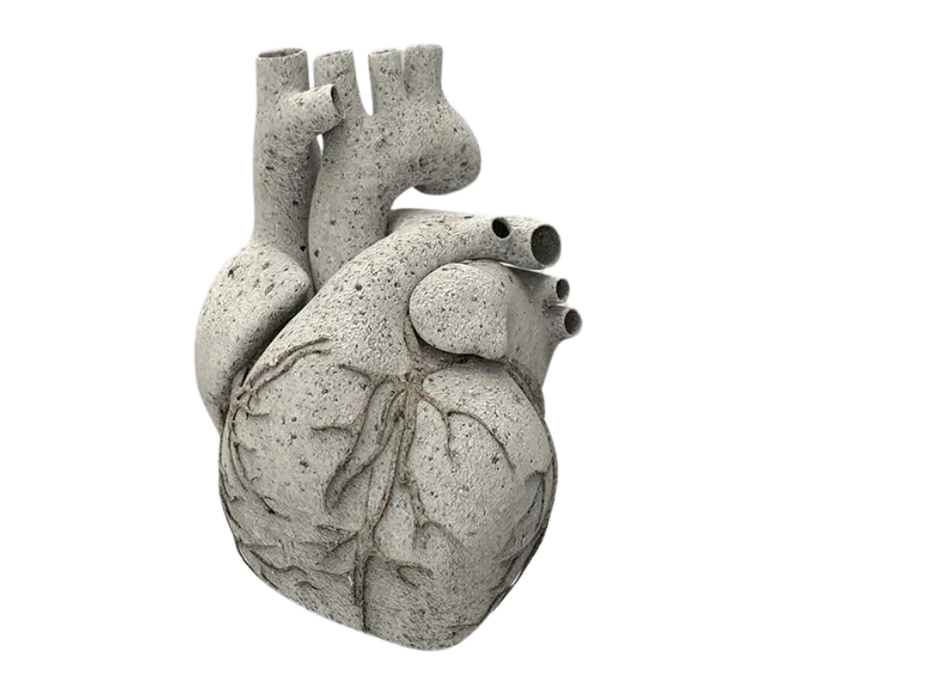 Coronary Calcification on a Lung Health Check: What should be done?